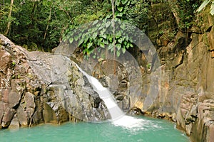 Beautiful waterfall in a rainforest. Saut d'Acomat, Guadeloupe, Caribbean Islands