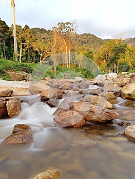 The beautiful waterfall and rock at the water , behind the scenes of forest.