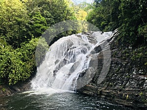 beautiful waterfall in sinharaja rain forest.