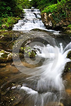Beautiful waterfall slow motion in summer