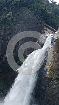 A beautiful waterfall in srilanka.