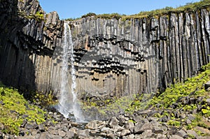 Beautiful waterfall Svartifoss in Skaftafell national park, Iceland