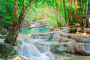 Hermoso cascada en Bosque 