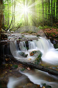 Beautiful waterfalls in the Bavarian Forest-Germany