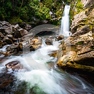 Beautiful waterfalls in the green nature, Wainui Falls, Abel Tasman, New Zealand
