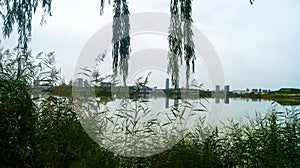 Beautiful Waterscape Park with Uniform Sky and Water