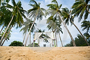 Beautiful wedding arch on the beach.