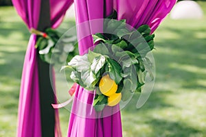 Beautiful wedding archway. Arch decorated with purple cloth and lemon