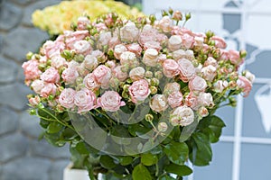 Beautiful wedding bouquet in hands of the bride. beautiful bouquet of roses