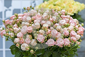 Beautiful wedding bouquet in hands of the bride. beautiful bouquet of roses