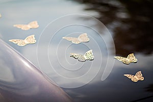 Beautiful wedding butterfly car decoration