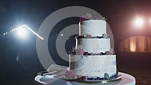 A beautiful wedding cake decorated with fresh flowers, the background is blurred with colored diodes. beautiful glare of