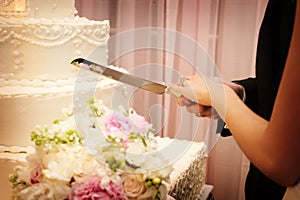 Krásný svatební dort o na být snížit 