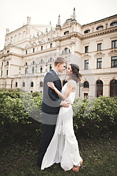 Beautiful wedding couple, bride, groom kissing and hugging against the background of theater