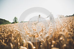 Beautiful wedding couple, bride and groom posing on wheat field with blue sky