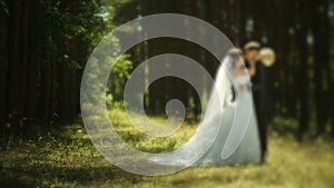 Beautiful wedding couple in forest