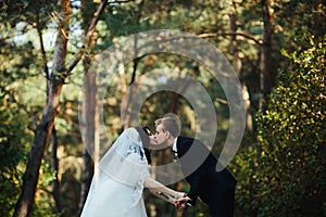 Beautiful wedding couple kissing