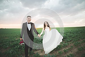 Beautiful wedding couple, love on the sunset. Fielf with flowers