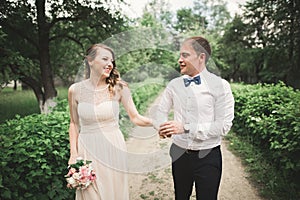 Beautiful wedding couple in park. kiss and hug each other