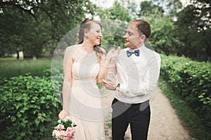 Beautiful wedding couple in park. kiss and hug each other