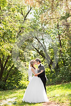 Beautiful wedding couple in park. They kiss and hug each other