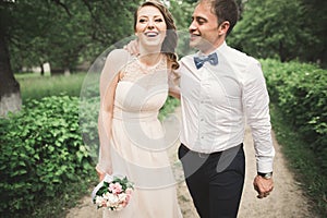 Beautiful wedding couple in park. kiss and hug each other