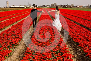 Beautiful wedding couple posing in red field