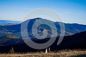 Beautiful wedding couple walking on the field. Wonderful mountain landscape