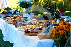 Beautiful wedding feast in nature, abundance of meals on a table. photo