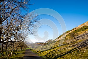 Beautiful Welsh landscape around Llangollen and Castell Dinas Bran, Wales