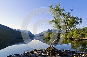 Beautiful Welsh Mountains reflected in a still waters of lake Llyn Padarn at Lone Tree Llan Beris Wales