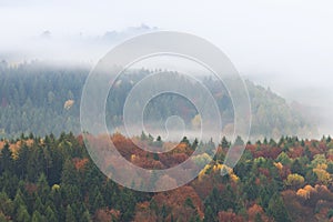 Beautiful West Virginia forest in Autumn. USA Low clouds cross over the tops of trees in autumn. Colorful landscape background