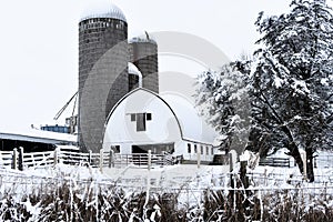 White Barn in Winter with Silos