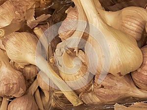 Beautiful white and brown healthy natural antibiotic garlic vegetable suitable for soup and other dishes