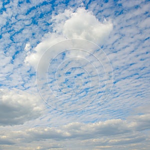 Beautiful white cirrus clouds