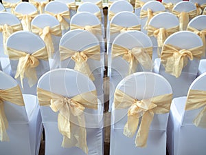 Beautiful white and clean wedding chairs decorated with gold ribbons in wedding ceremony