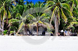 Beautiful white coral sand beach with palms and cottages, turquoise blue ocean