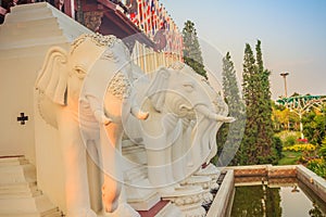 Beautiful white elephant head statue. White Elephant Head Sculpture on Museum Mount Stand