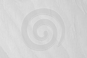 Beautiful white feather wool pattern texture background