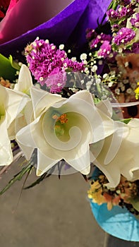 beautiful white flowers in a bouquet, flora, botany plant