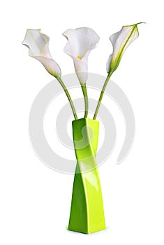 Beautiful white flowers Calla in green vase.