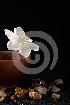 Beautiful white flowers in ceramic ware and space for text on a black background