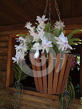  Handmade vase with white silk flowers photo