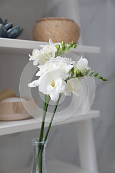 Beautiful white freesia flowers in vase on shelf indoors, closeup