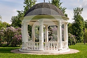 Beautiful white gazebo in a blooming spring Park