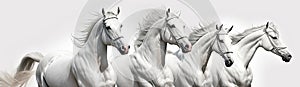 Beautiful white horses run across the sand, white background. Generative AI