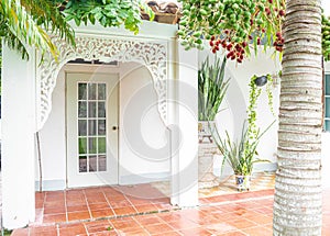 Beautiful white house backyard with a palm tree