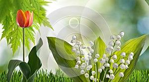 beautiful white lily of the valley flowers. Spring bouquet of lilies of the valley