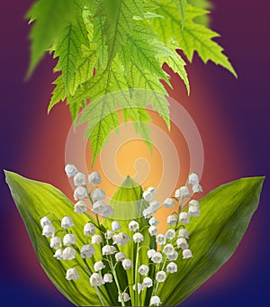 beautiful white lily of the valley flowers. Spring bouquet of lilies of the valley