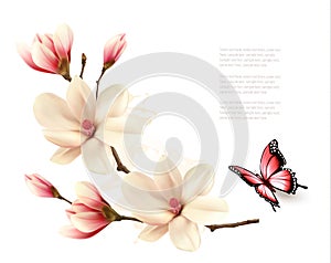 Beautiful white magnolia branch with a butterfly. photo